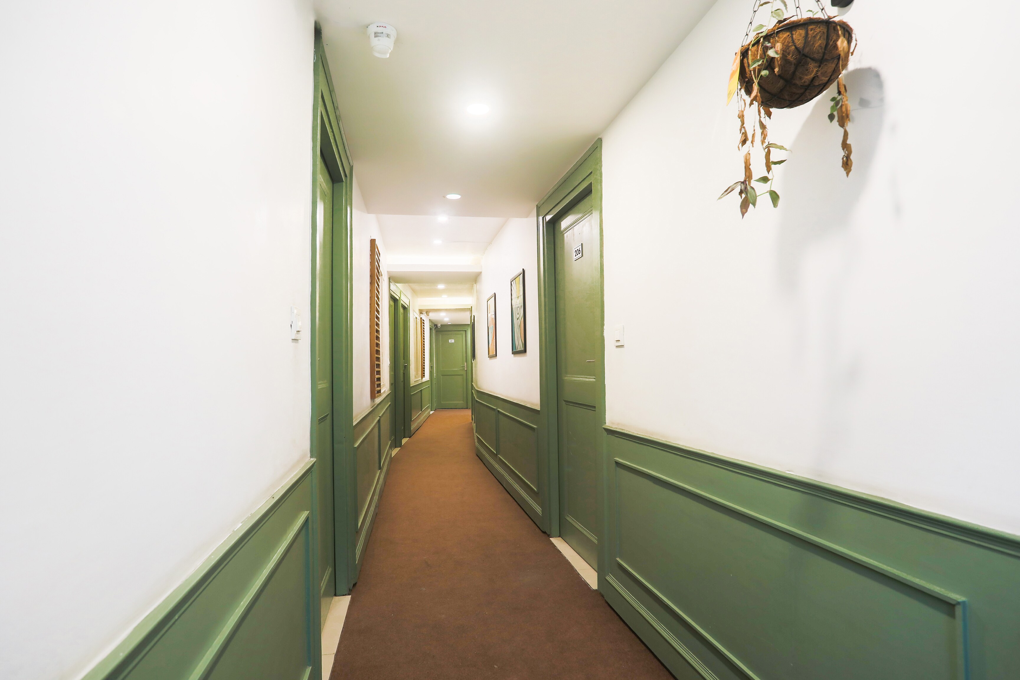 Collection O Pacific Mall Rajpur Road in Dehradun