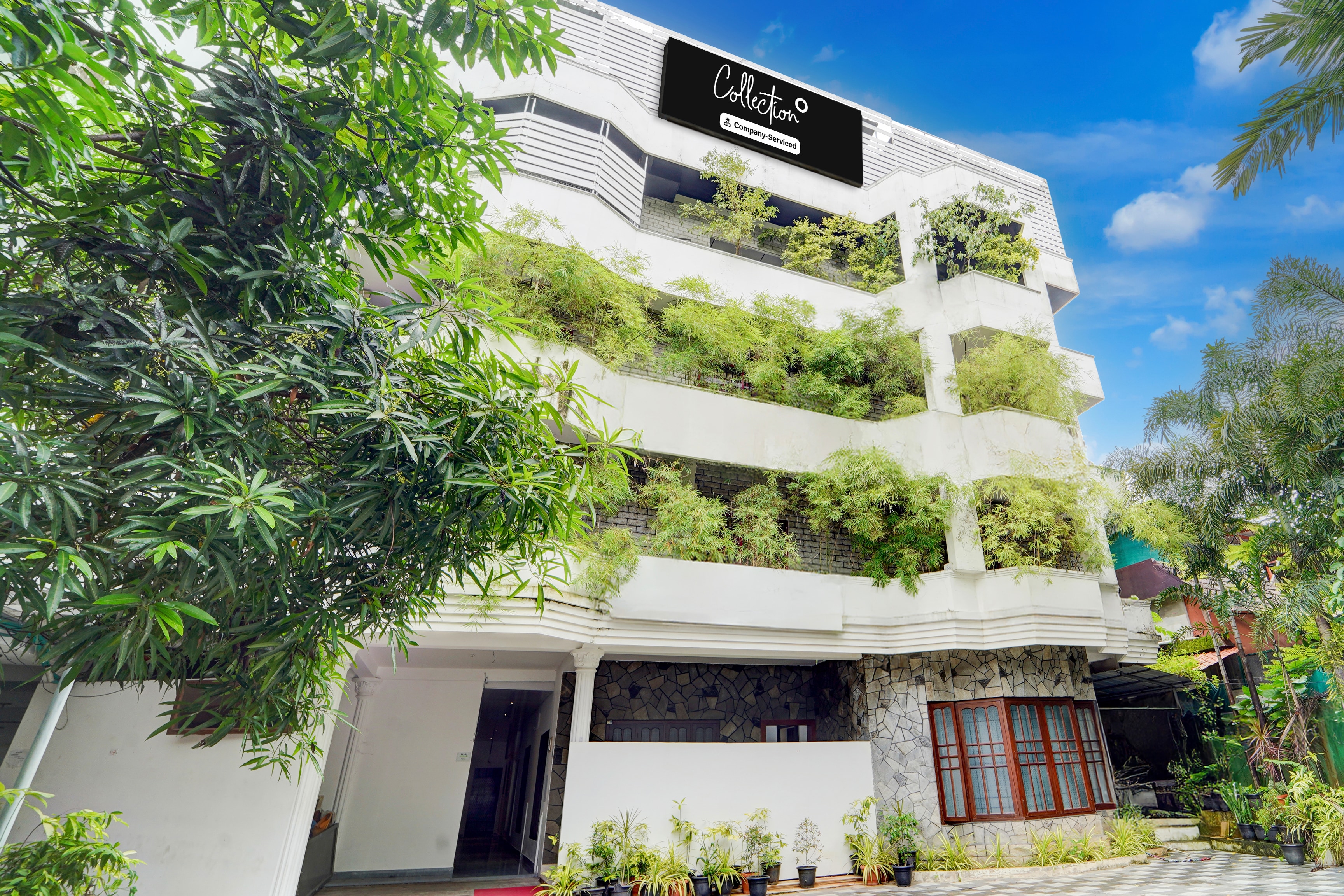 Super Collection O Vazhakkala Kakkanad in Kochi