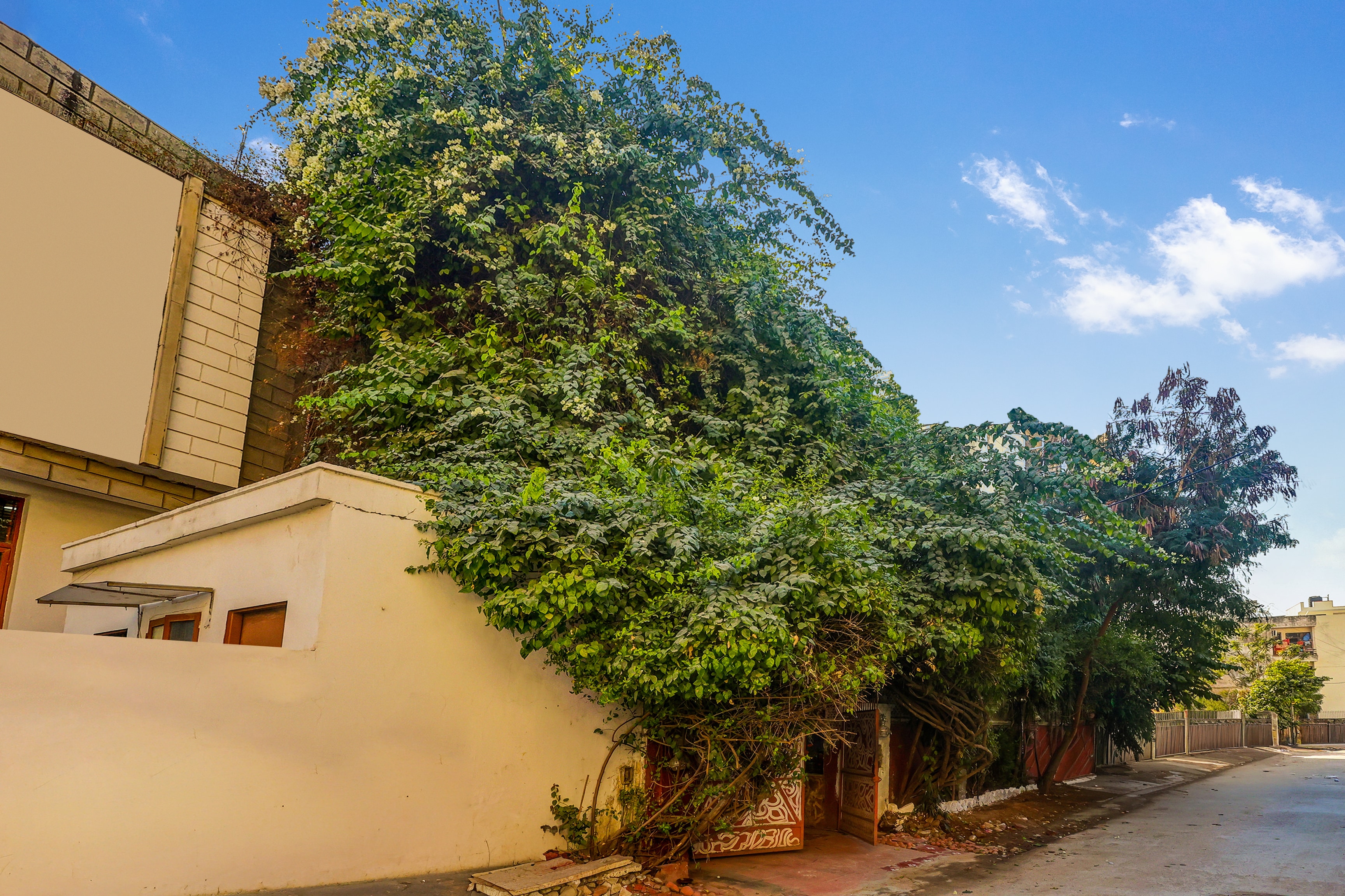 Collection O Laxmi Narayan Temple Jaipur Formerly Harpalsar Haveli in Jaipur