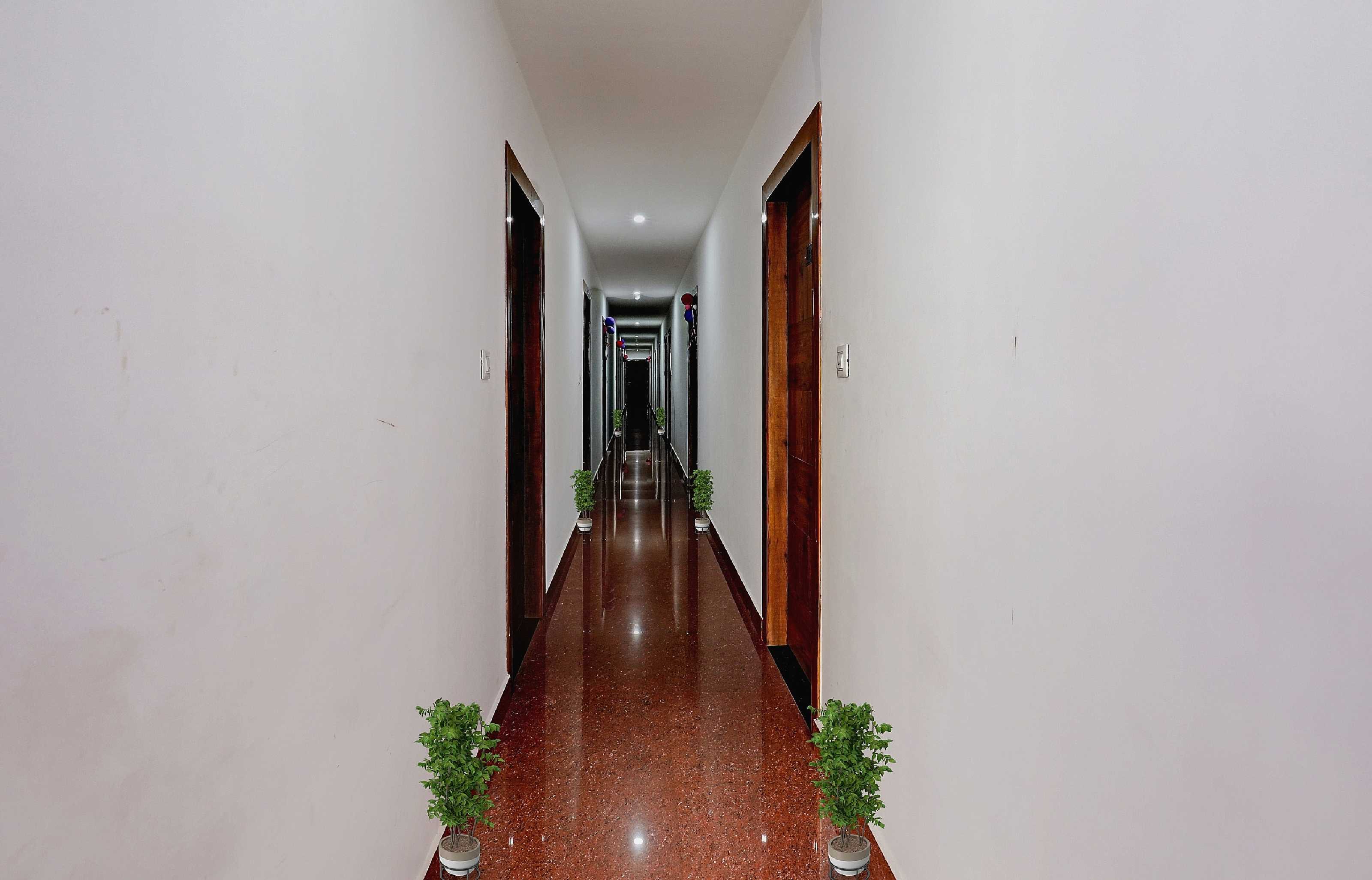 Collection O Bashista Chariali Formerly Luit Heritage in Guwahati