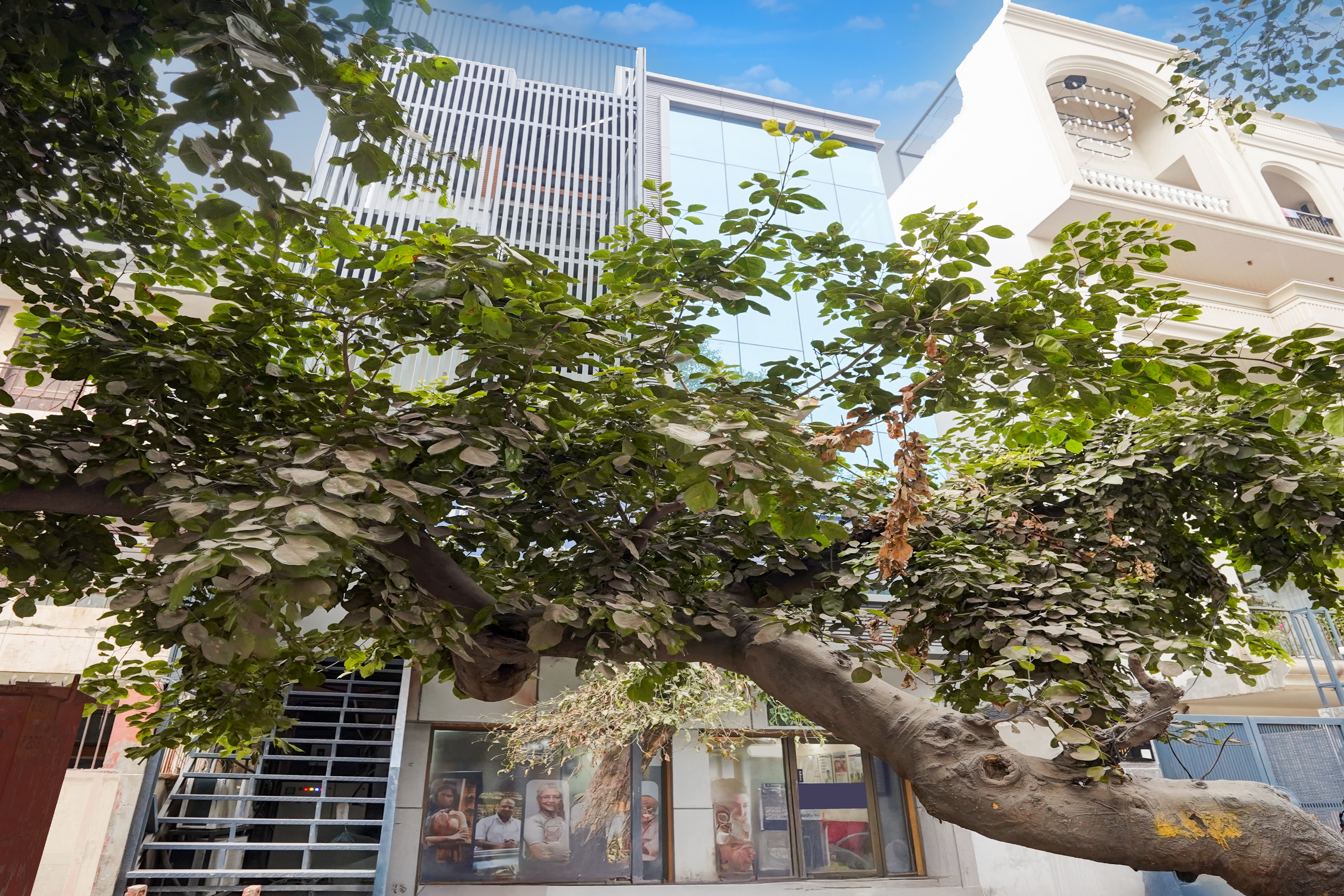 Townhouse Preet Vihar Delhi in Delhi