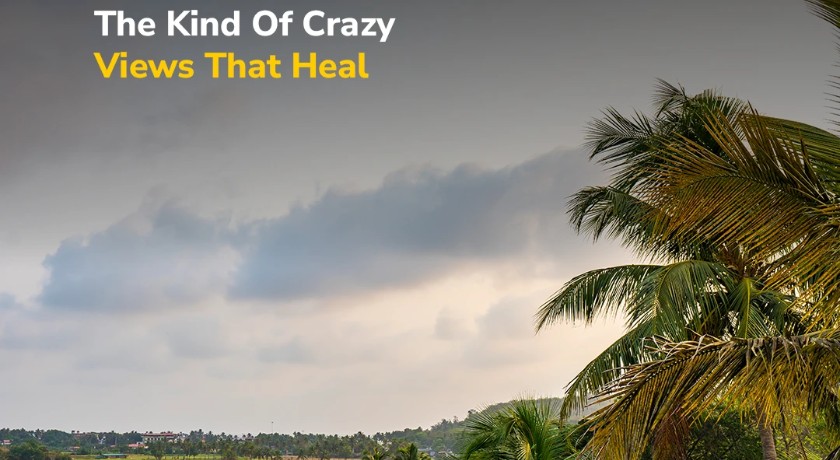 goSTOPS Goa, Baga in Goa