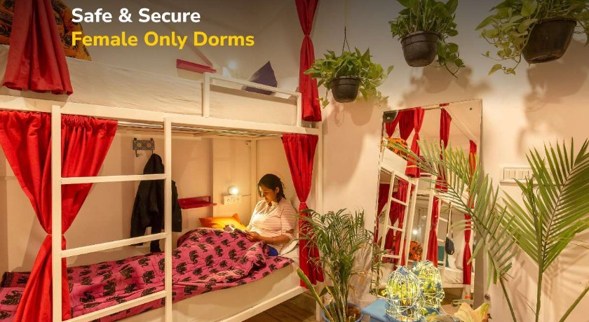 goSTOPS Jaipur Lite in Jaipur