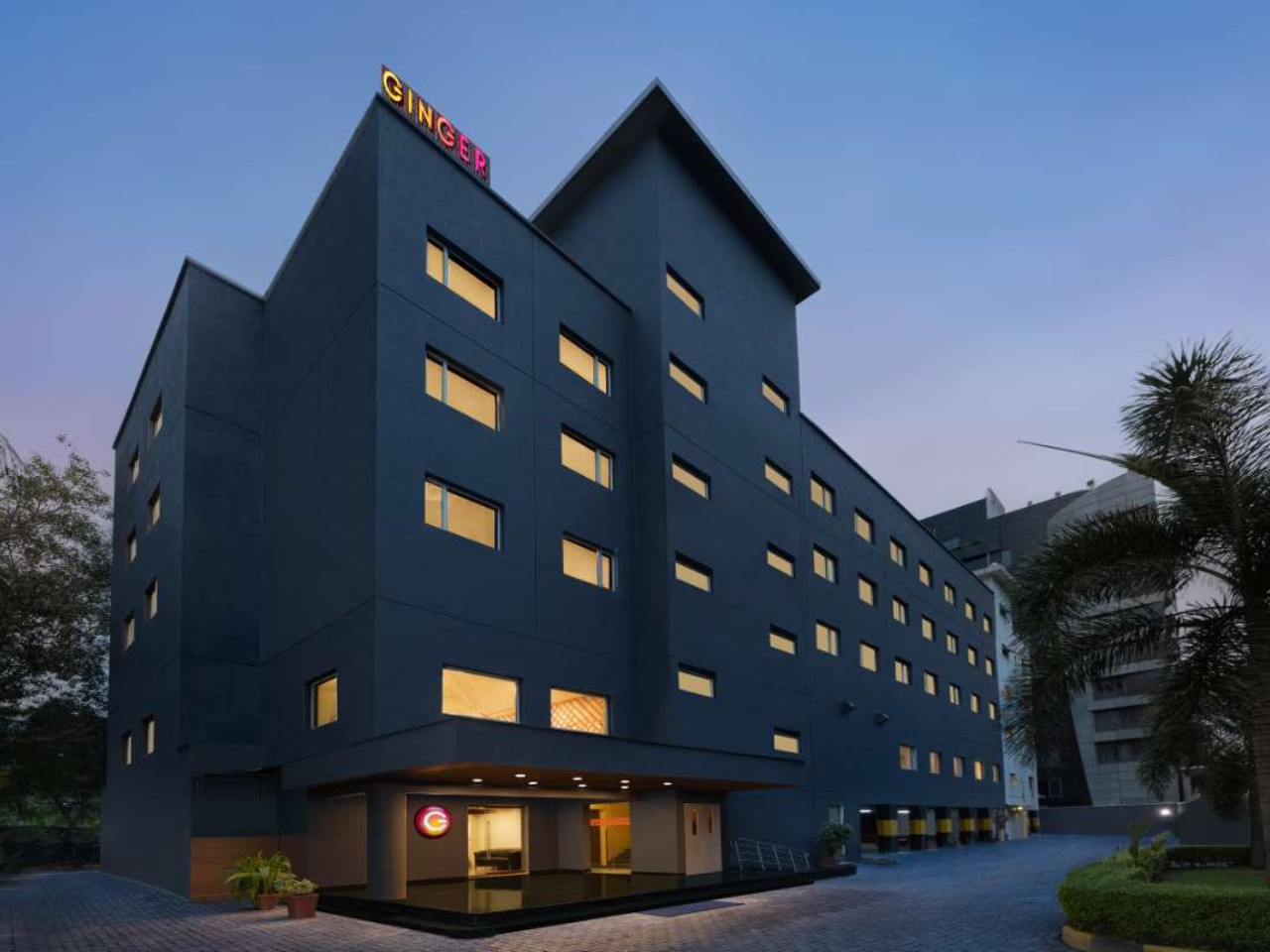 Ginger Surat in Surat