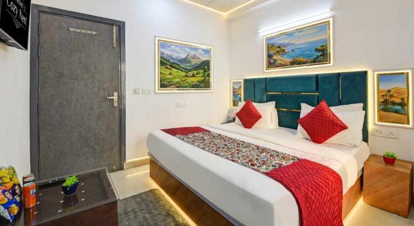 Hotel Cozy Nest in Delhi