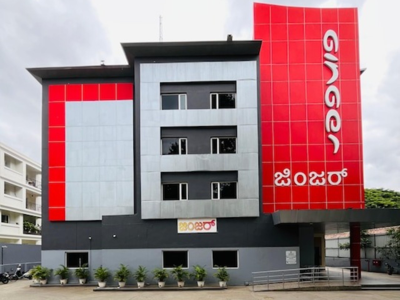 Ginger Mysore in Mysore