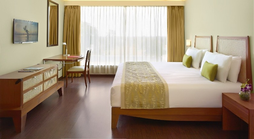 Ginger Gondia in Gondia