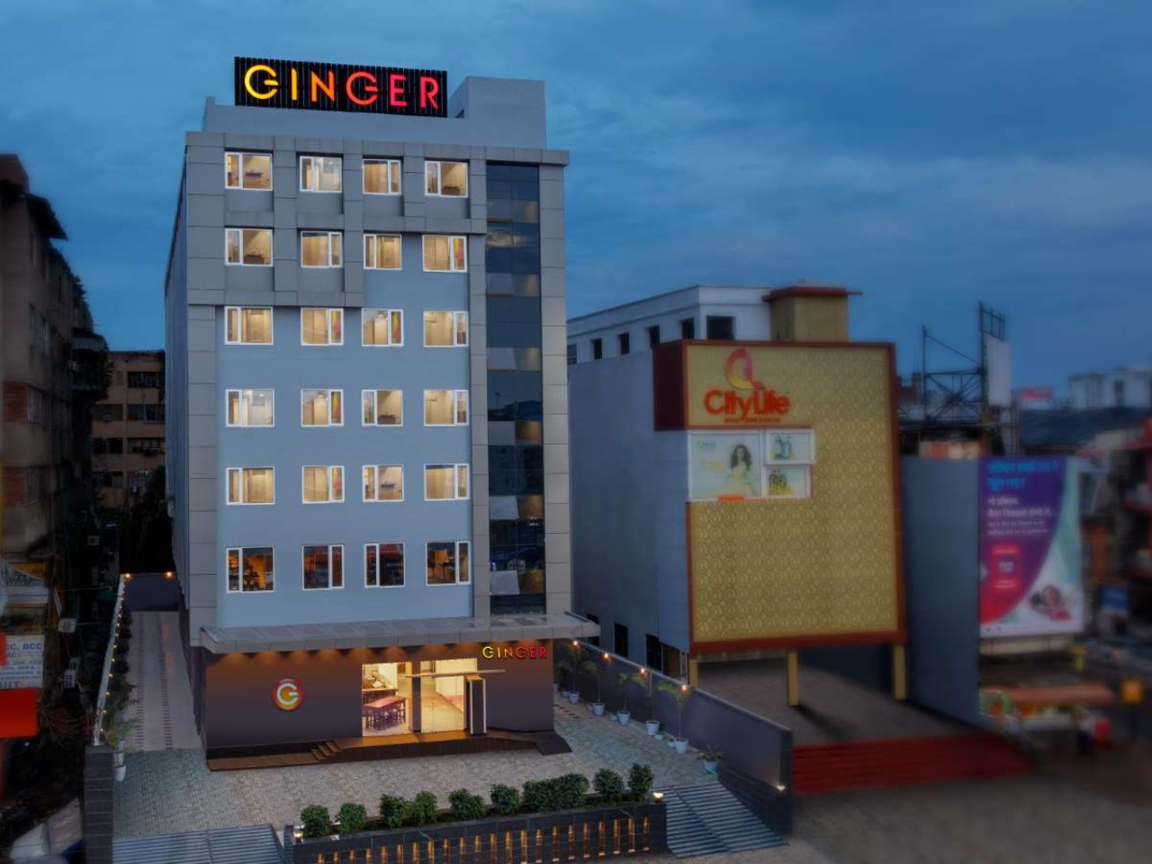 Ginger Patna in Patna