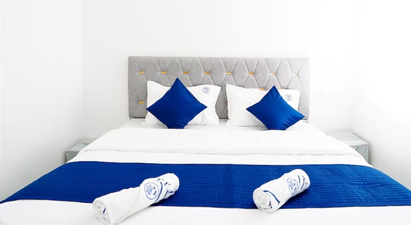 Blue Birds in Bangalore