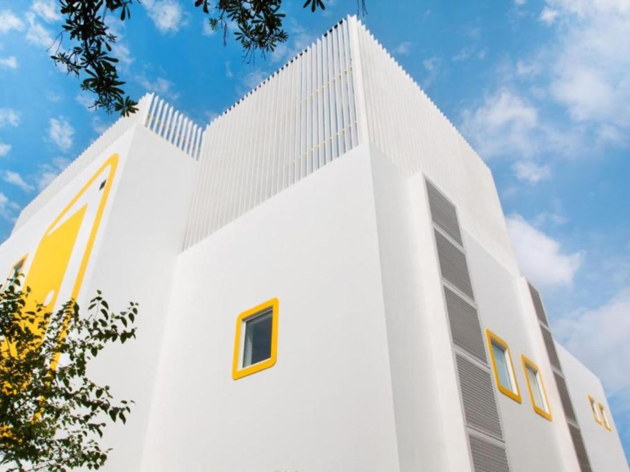 Bloomrooms @ Linkroad in Delhi