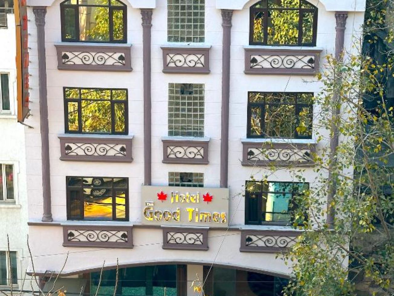 Hotel Good Times in Delhi