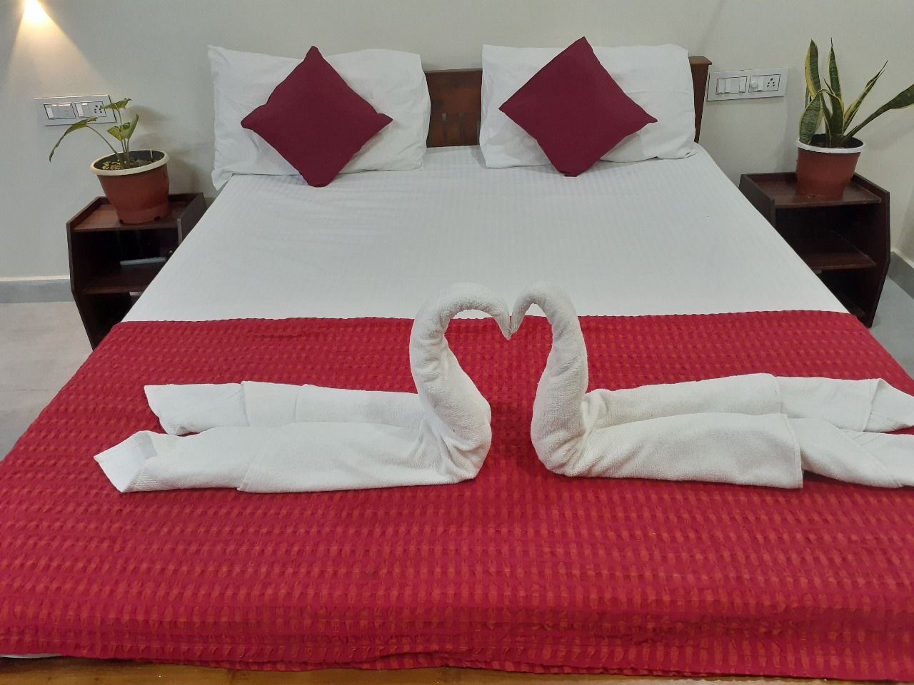 Nature Villa in Kochi