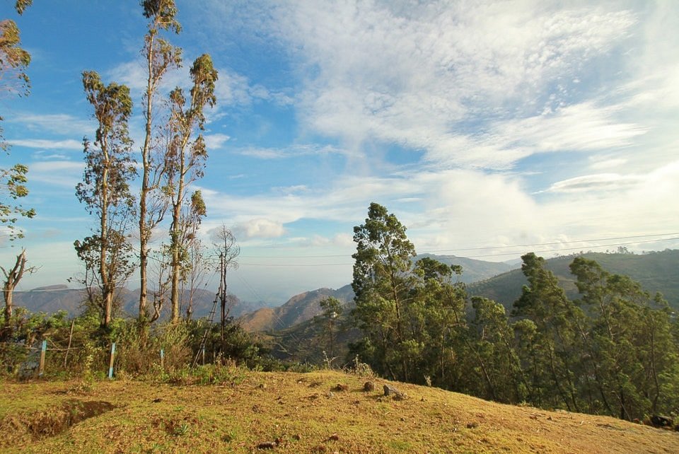 Kodai Mist Resort in Kodaikanal