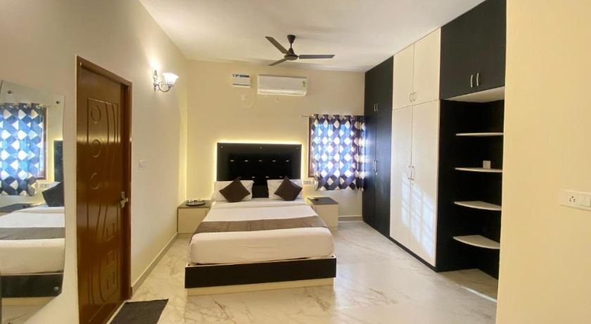 Cashew Tree Near US BioMetric Centre in Chennai