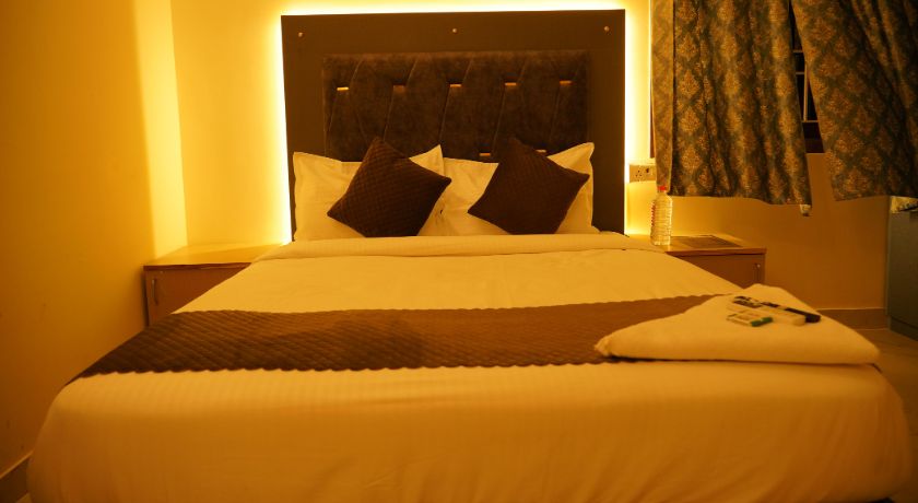 Cashew Tree Near US BioMetric Centre in Chennai