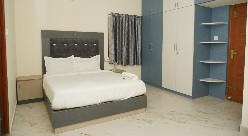 Cashew Tree Near US BioMetric Centre in Chennai