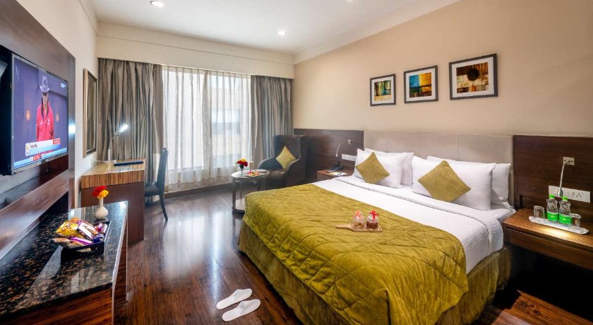 The Golden Palms Hotel and Spa in Delhi