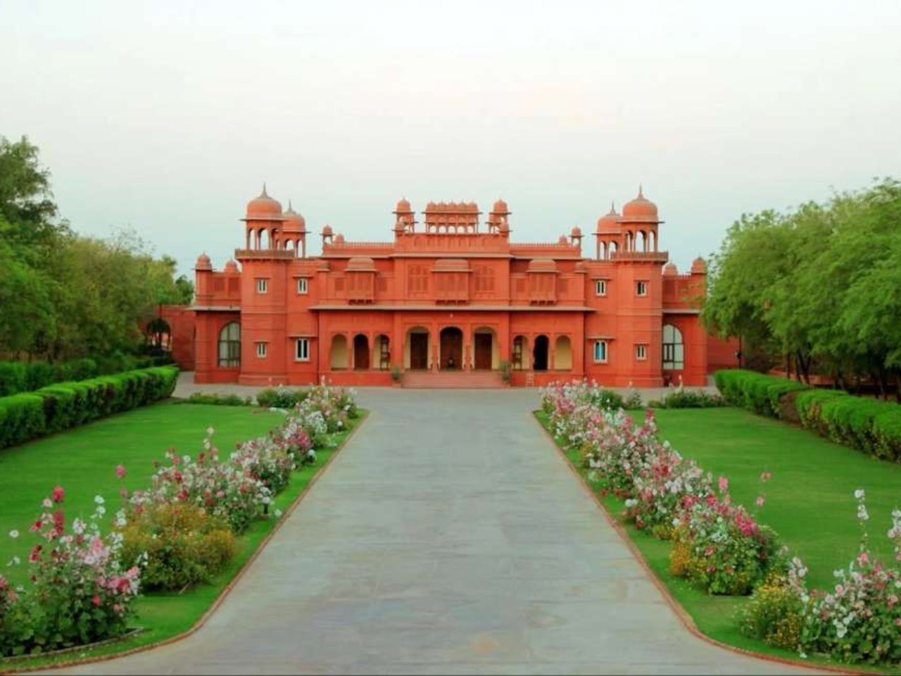 Gaj Kesri By 7 Apple in Bikaner