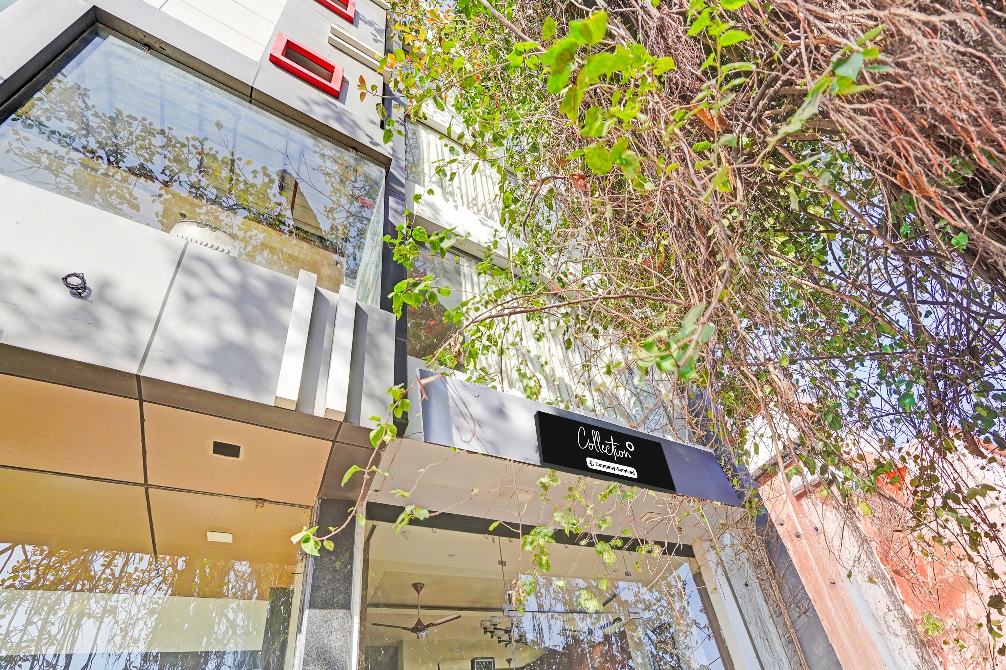 Collection O Arvind Marg Pachamarhi in Pachmarhi