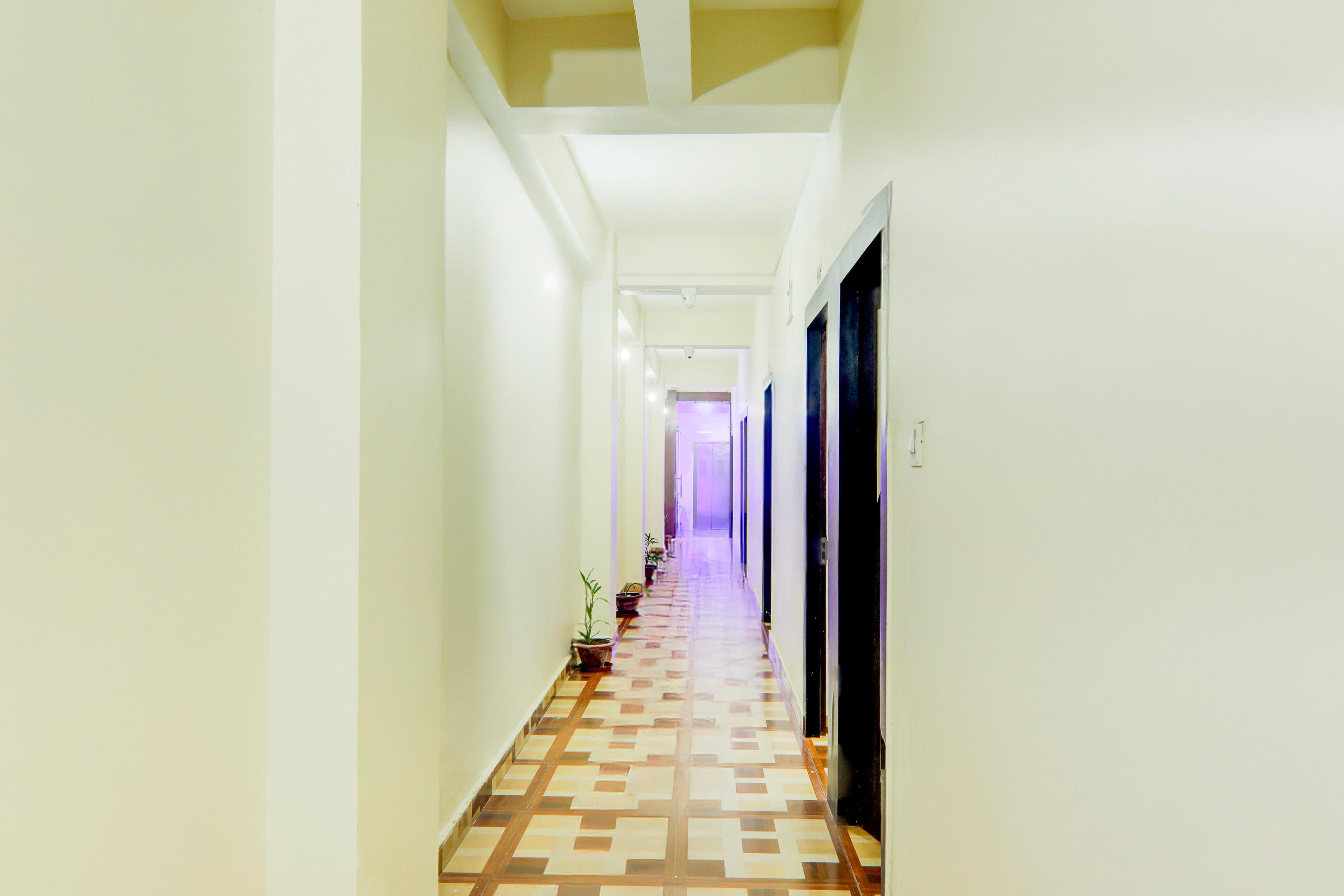 Super Collection O Jagdeo Path Patna in Patna